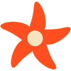 RENOMAD